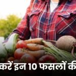 मई में करें इन 10 फसलों की बुवाई, बरसात में मिले भरपूर उत्पादन और जबरदस्त मुनाफा