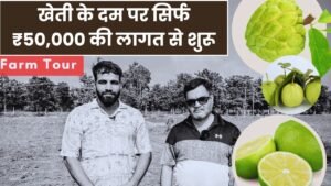 खेती के दम पर सिर्फ ₹50,000 की लागत से शुरू करके 3 साल में डेढ़ करोड़ रुपये का बिजनेस खड़ा कर दिया खेती के दम पर सिर्फ ₹50,000 की लागत से शुरू करके 3 साल में डेढ़ करोड़ रुपये का बिजनेस खड़ा कर दिया