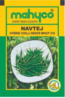 महिको नवतेज 319 F1 मिर्च: एक बार लगाइए, रिकॉर्ड तोड़ उत्पादन पाइए महिको नवतेज 319 F1 मिर्च: एक बार लगाइए, रिकॉर्ड तोड़ उत्पादन पाइए