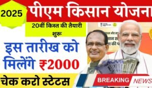 PM किसान योजना की 20वीं किस्त 2025, किन किसानों को मिलेगा ₹2000 और किन्हें नहीं? जानें नए रजिस्ट्रेशन नियम और जरूरी दस्तावेज PM Kisan Samman Nidhi 2025: 20वीं किस्त की तैयारी शुरू, फार्मर रजिस्ट्री जरूरी, ऐसे न चूके ₹2000 की अगली किस्त