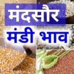 मंदसौर मंडी भाव