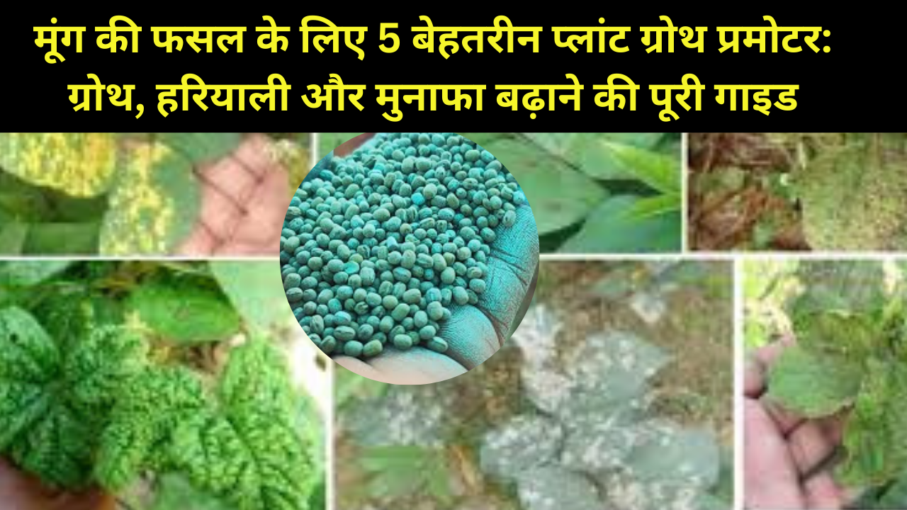मूंग की फसल के लिए 5 बेहतरीन प्लांट ग्रोथ प्रमोटर: ग्रोथ, हरियाली और मुनाफा बढ़ाने की पूरी गाइड