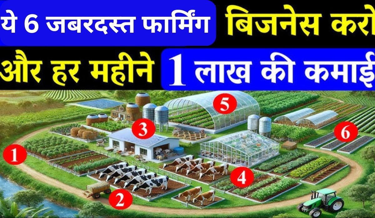 2025 में बनें लखपति, जानिए 6 जबरदस्त फार्मिंग बिजनेस आइडियाज जो आपकी आमदनी को कई गुना बढ़ा सकते हैं