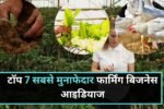 टॉप 7 सबसे मुनाफेदार फार्मिंग बिजनेस आइडियाज, कम निवेश में कमाएं लाखों रुपये प्रति महीना