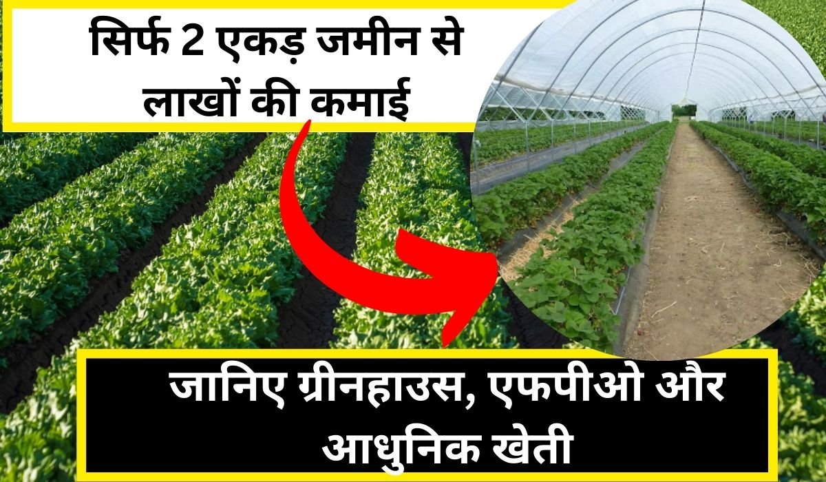 You are currently viewing सिर्फ 2 एकड़ जमीन से लाखों की कमाई कैसे करें? जानिए ग्रीनहाउस, एफपीओ और आधुनिक खेती के 5 जबरदस्त तरीके