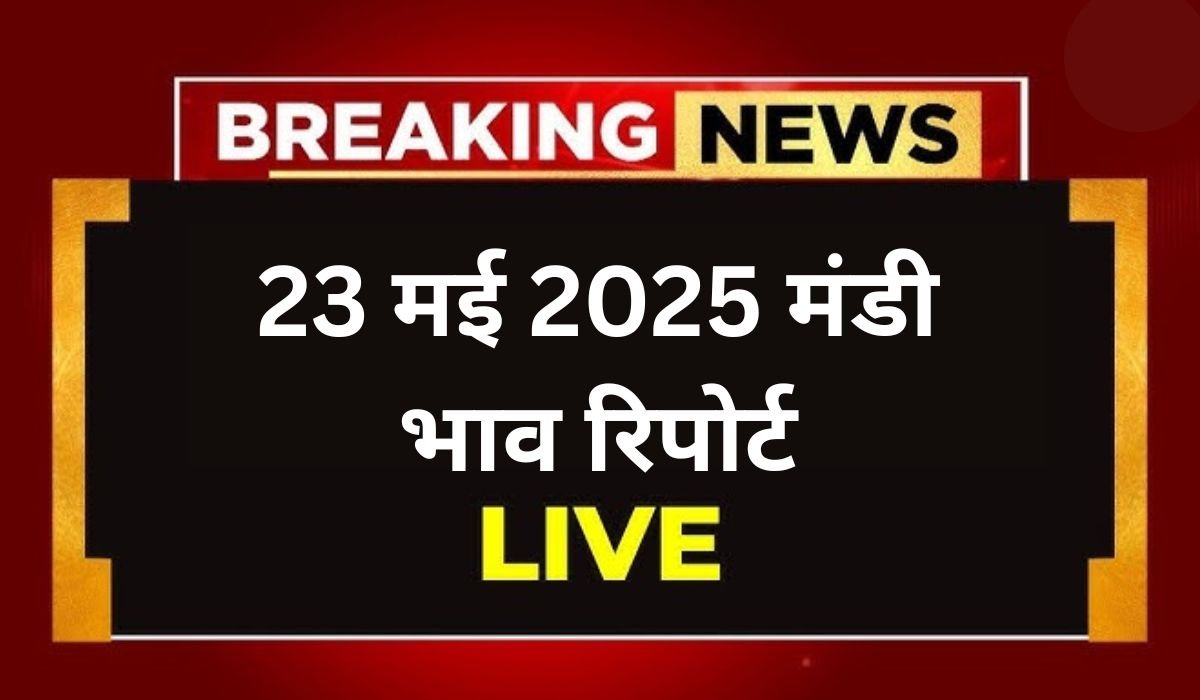 23 मई 2025 मंडी भाव रिपोर्ट: सरसों में जोरदार तेजी, गेहूं और नरमा स्थिर, जानिए देशभर की प्रमुख मंडियों के आज के ताज़ा अनाज भाव Read more about the article 23 मई 2025 मंडी भाव रिपोर्ट: सरसों में जोरदार तेजी, गेहूं और नरमा स्थिर, जानिए देशभर की प्रमुख मंडियों के आज के ताज़ा अनाज भाव