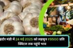 इंदौर मंडी में 24 मई 2025 को लहसुन की कम आवक, फिर भी ₹9500 प्रति क्विंटल तक पहुंचे भाव
