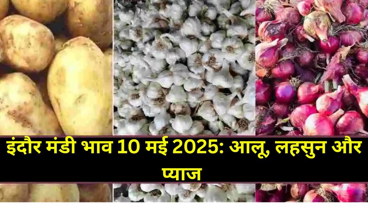 इंदौर मंडी भाव 10 मई 2025: आलू, लहसुन और प्याज
