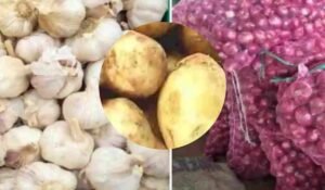 इंदौर मंडी भाव 10 मई 2025: आलू, लहसुन और प्याज की ताज़ा आवक रिपोर्ट