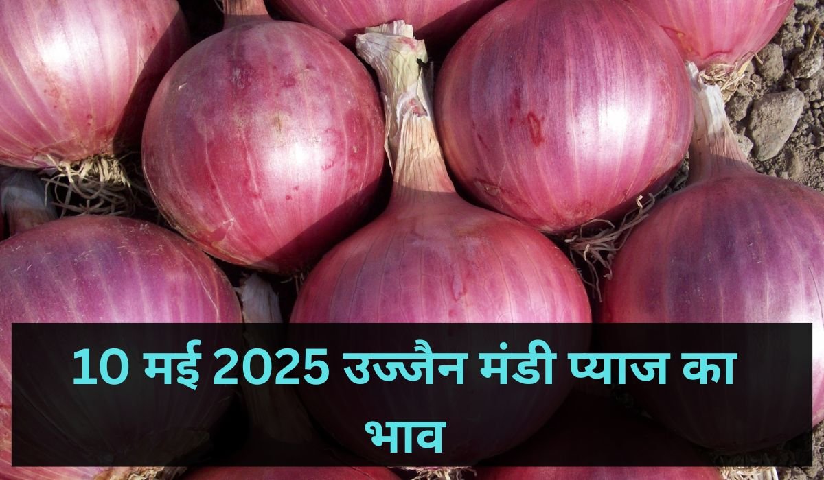 10 मई 2025 उज्जैन मंडी प्याज का भाव