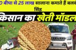 20 बीघा से 25 लाख सालाना कमाते हैं बलवंत सिंह