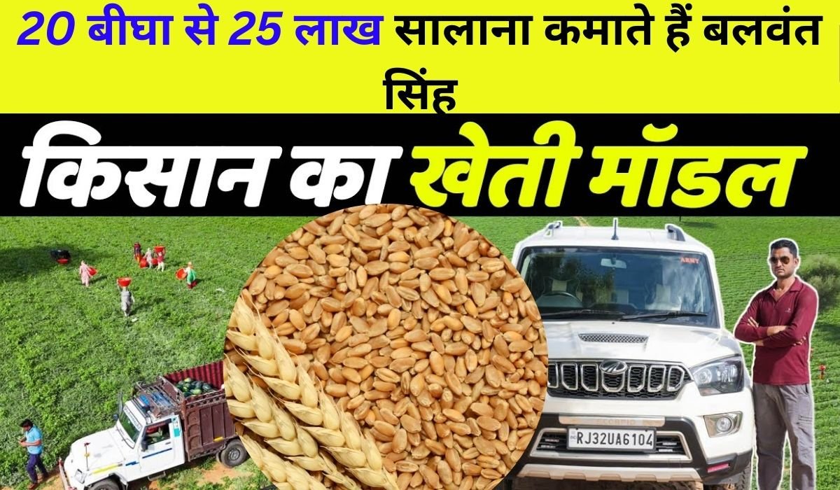 20 बीघा से 25 लाख सालाना कमाते हैं बलवंत सिंह