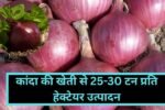 कांदा की खेती से 25-30 टन प्रति हेक्टेयर उत्पादन लेना है