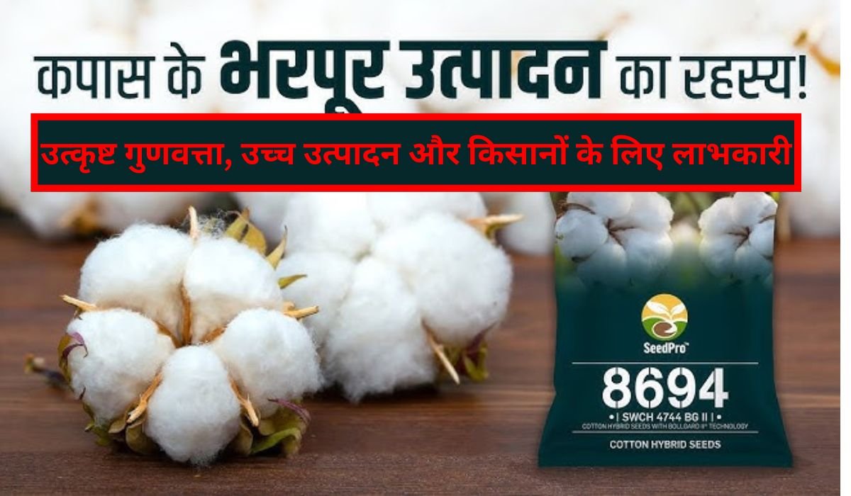 8694 कपास बीज: उत्कृष्ट गुणवत्ता, उच्च उत्पादन और किसानों के लिए लाभकारी किस्म की पूरी जानकारी