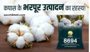 8694 कपास बीज: उत्कृष्ट गुणवत्ता, उच्च उत्पादन और किसानों के लिए लाभकारी किस्म की पूरी जानकारी