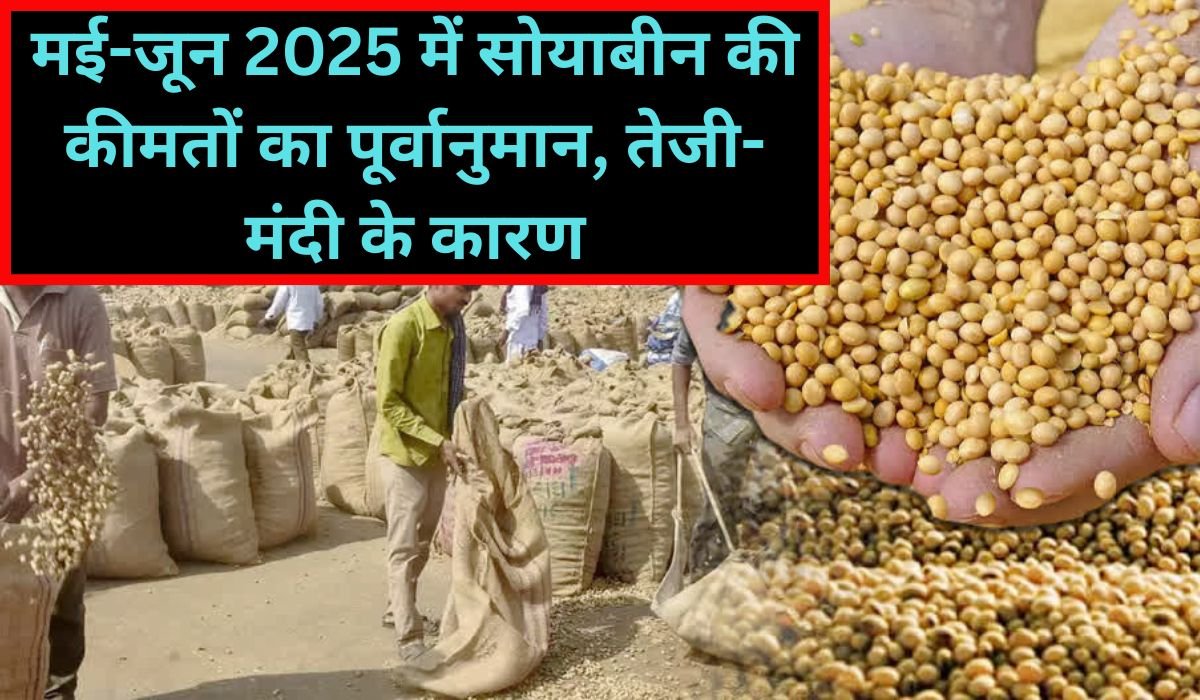 You are currently viewing मई-जून 2025 में सोयाबीन की कीमतों का पूर्वानुमान, तेजी-मंदी के कारण, प्रभाव और मंडी रिपोर्ट