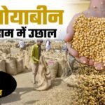 उज्जैन मंडी का सोयाबीन का भाव