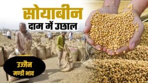 7 मई 2025: उज्जैन मंडी का सोयाबीन का भाव और क्वालिटी की पूरी जानकारी उज्जैन मंडी का सोयाबीन का भाव