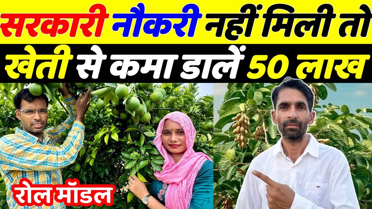 बागवानी से सालाना 50 लाख कमाने वाले युवा किसान कपिल यादव की सफलता की कहानी