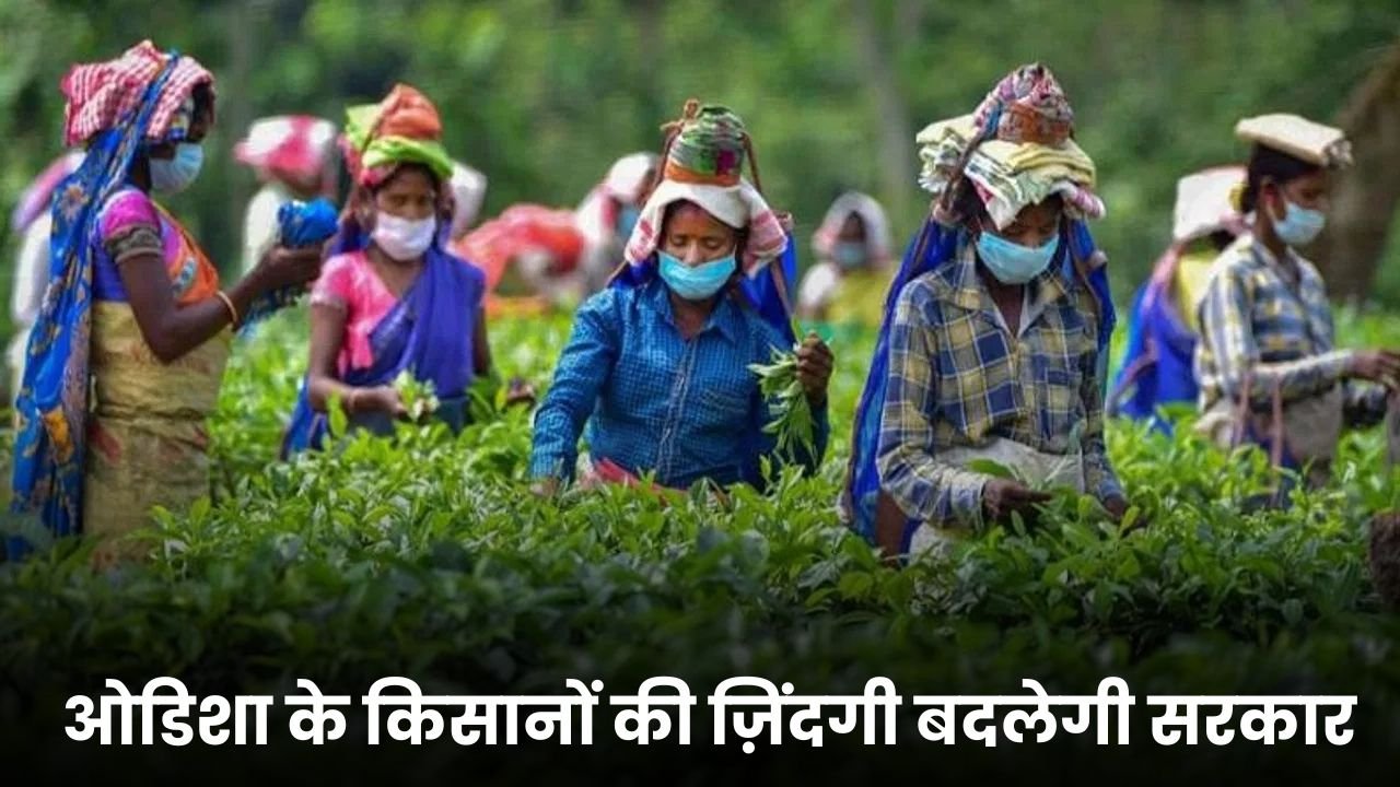 ओडिशा के किसानों की ज़िंदगी बदलेगी सरकार और गेट्स फाउंडेशन का ऐतिहासिक समझौता