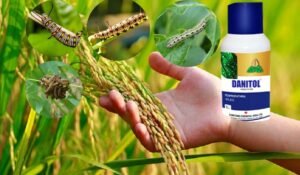 Danitol Insecticide क्या है? डिनिटोल कीटनाशक के फायदे, उपयोग की विधि जानिए, Danitol Insecticide Uses in Hindi