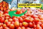 14 मई 2025 की आजादपुर मंडी टमाटर रिपोर्ट, आज के ताज़ा भाव, उठाव का माहौल