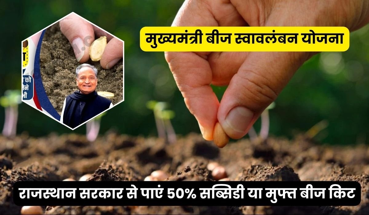 मुख्यमंत्री बीज स्वावलंबन योजना 2025: राजस्थान सरकार से पाएं 50% सब्सिडी या मुफ्त बीज किट, पात्रता, लाभ और आवेदन प्रक्रिया