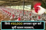 गांव में सिर्फ ₹50,000 लगाकर शुरू करें मुर्गी पालन व्यवसाय, जानिए सब्सिडी, नस्लें और मुनाफे का पूरा प्लान
