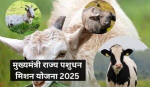 मुख्यमंत्री राज्य पशुधन मिशन योजना 2025, भैंस और गाय पालन पर ₹80,000 तक की सब्सिडी पाएं