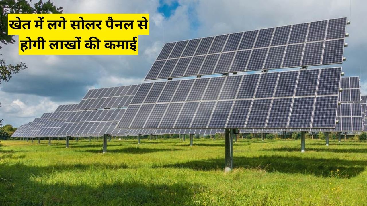 खेत में लगे सोलर पैनल से होगी लाखों की कमाई? जानिए एग्री वोल्टेक्स की धमाकेदार तकनीक