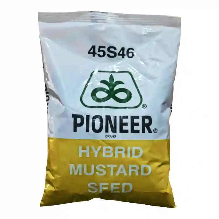2025 में पायनियर सरसों बीज 45s46 कीमत और पूरी जानकारी जानिए , Pioneer 45s46 Price