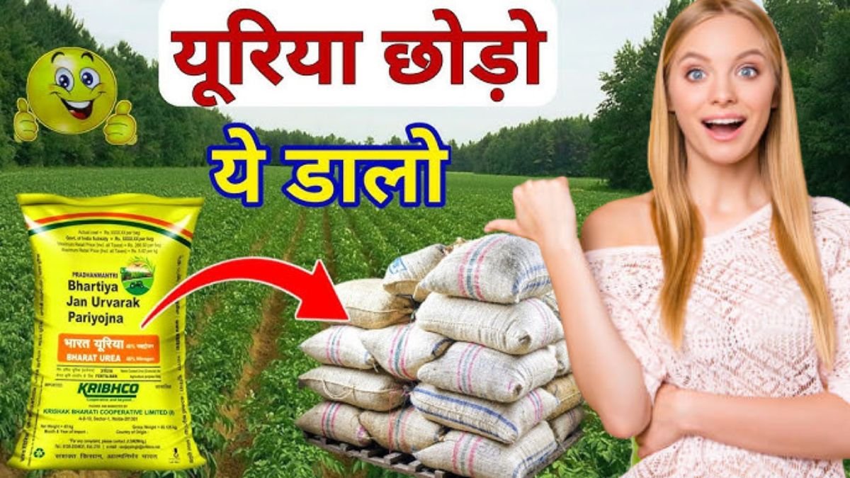 Urea Fertilizer Alternative: यूरिया की जगह ये खाद डालोगे तो फसल तो हरी होगी लेकिन लागत सुनकर चौंक जाओगे