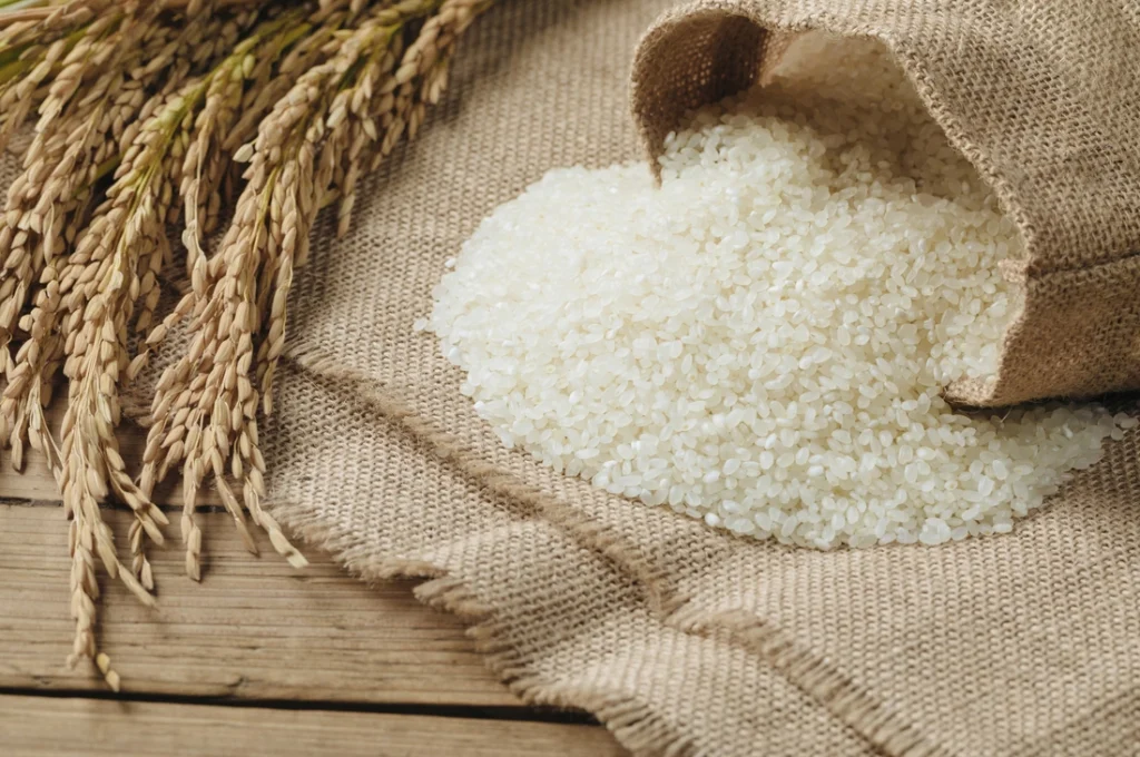 Rice Export Registration: भारतीय चावल को मिलेगी वैश्विक पहचान, सरकार ने लागू किया नया रजिस्ट्रेशन सिस्टम Rice Export Registration: भारतीय चावल को मिलेगी वैश्विक पहचान, सरकार ने लागू किया नया रजिस्ट्रेशन सिस्टम