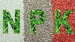 Urea Fertilizer Alternative: यूरिया की जगह ये खाद डालोगे तो फसल तो हरी होगी लेकिन लागत सुनकर चौंक जाओगे Urea Fertilizer Alternative: यूरिया की जगह ये खाद डालोगे तो फसल तो हरी होगी लेकिन लागत सुनकर चौंक जाओगे