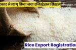 Rice Export Registration: भारतीय चावल को मिलेगी वैश्विक पहचान, सरकार ने लागू किया नया रजिस्ट्रेशन सिस्टम