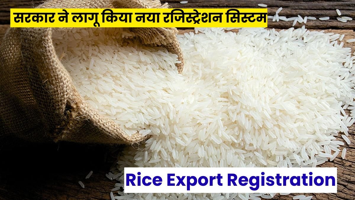 Rice Export Registration: भारतीय चावल को मिलेगी वैश्विक पहचान, सरकार ने लागू किया नया रजिस्ट्रेशन सिस्टम