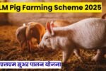 NLM Pig Farming Scheme 2025: एनएलएम सूअर पालन योजना, कम मेहनत में ज्यादा आय, सरकारी सब्सिडी का फायदा