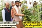 Vegetable Excellence Center Haryana: किसानों को सब्सिडी पर पौध और मुफ्त ट्रेनिंग, हरियाणा का सब्जी उत्कृष्टता केंद्र बना मिसाल Vegetable Excellence Center Haryana: किसानों को सब्सिडी पर पौध और मुफ्त ट्रेनिंग, हरियाणा का सब्जी उत्कृष्टता केंद्र बना मिसाल