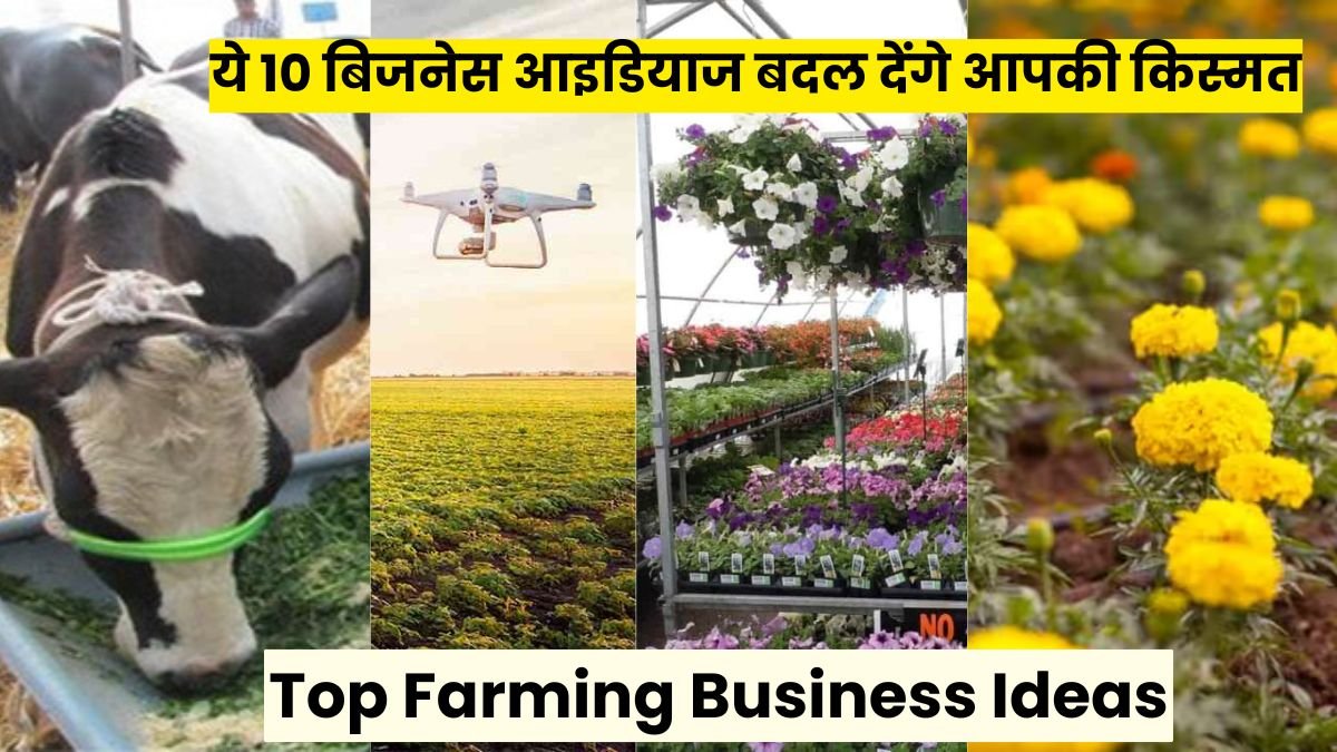 Top Farming Business Ideas: खेती से नहीं हो रही कमाई? ये 10 बिजनेस आइडियाज बदल देंगे आपकी किस्मत