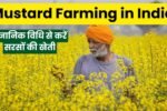 Mustard Farming in India: वैज्ञानिक विधि से करें सरसों की खेती, हर एकड़ में पाएं ₹41,000 से ज्यादा का मुनाफा