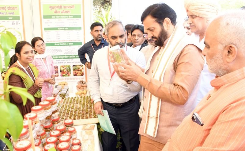 Vegetable Excellence Center Haryana: किसानों को सब्सिडी पर पौध और मुफ्त ट्रेनिंग, हरियाणा का सब्जी उत्कृष्टता केंद्र बना मिसाल Vegetable Excellence Center Haryana: किसानों को सब्सिडी पर पौध और मुफ्त ट्रेनिंग, हरियाणा का सब्जी उत्कृष्टता केंद्र बना मिसाल
