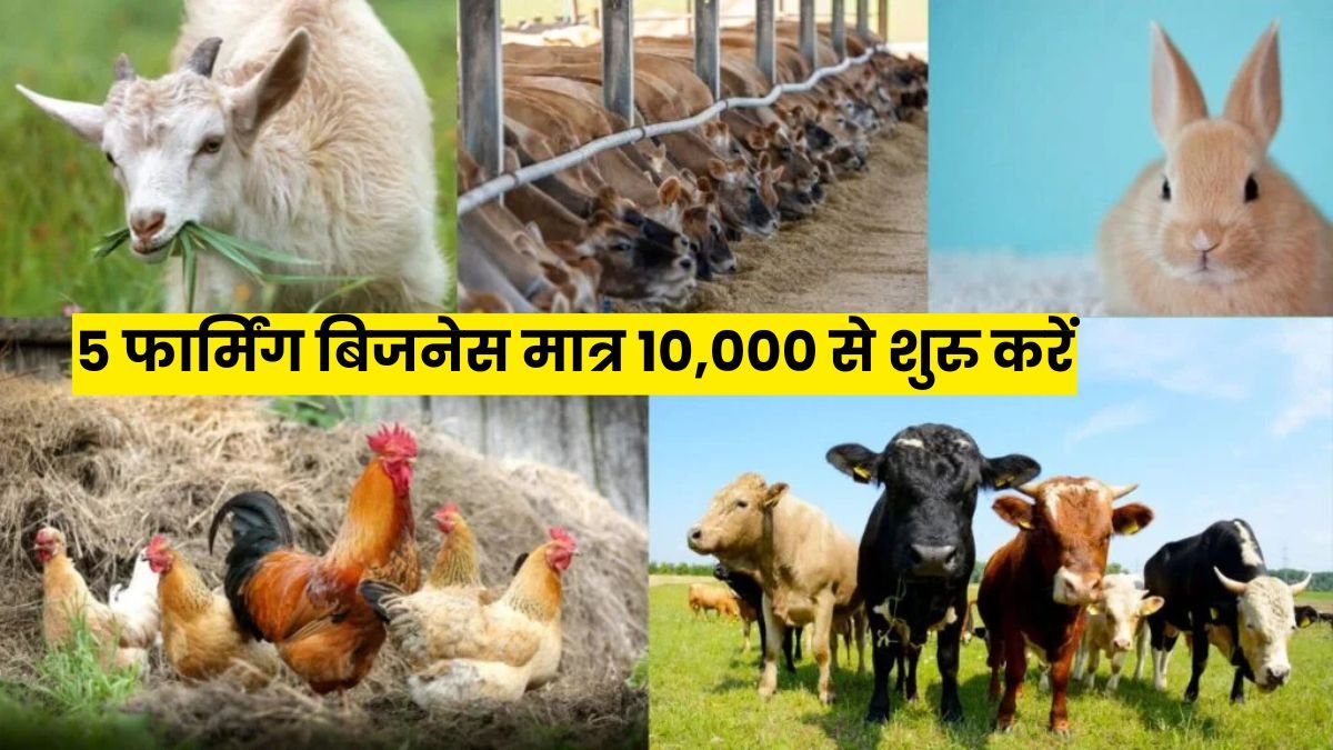 Farming Business Idea 2026 – गाँव में सिर्फ ₹10,000 से शुरू करें ये 5 जबरदस्त खेती आधारित बिज़नेस