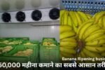 Banana Ripening business kaise shuru kare: ₹50,000 महीना कमाने का सबसे आसान तरीका