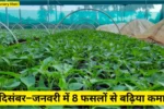 Ageti Nursery Kheti: अगेती नर्सरी खेती, दिसंबर–जनवरी में 8 फसलों से बढ़िया कमाई