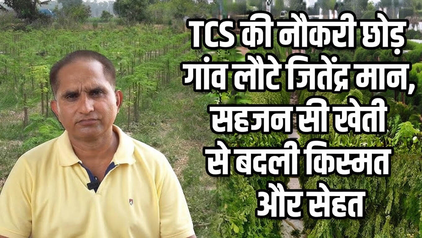 TCS की नौकरी छोड़ गांव लौटे जितेंद्र मान, सहजन की खेती से बदली किस्मत और सेहत