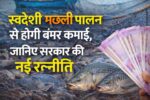 स्वदेशी मछली पालन से होगी बंपर कमाई, जानिए सरकार की नई रणनीति