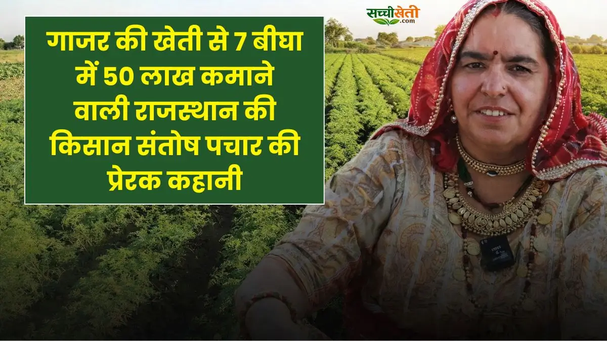गाजर की खेती से 7 बीघा में 50 लाख कमाने वाली राजस्थान की किसान संतोष पचार की प्रेरक कहानी