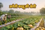 अगेती कद्दू की खेती, बाजार में सबसे पहले उतारिए कद्दू, भाव देखकर खुश हो जाएंगे
