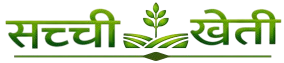 Sacchi Kheti