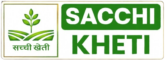 Sacchi Kheti
